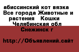 абиссинский кот вязка - Все города Животные и растения » Кошки   . Челябинская обл.,Снежинск г.